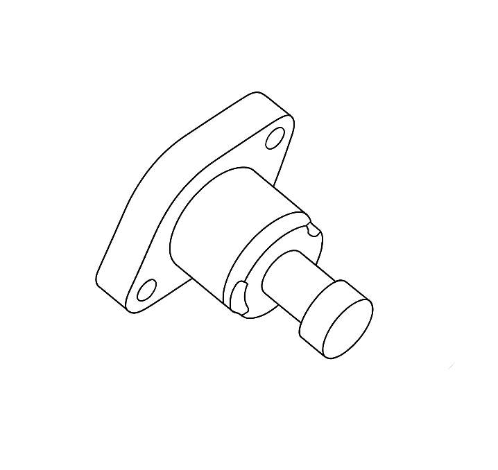 Cam (Timing) Chain Tensioner Assembly